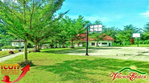 grand meadows valencia bukidnon|Properties For Sale in Vallencia, Bukidnon .